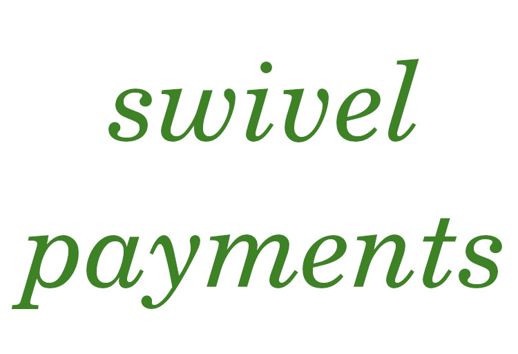 Swivel Payments Image
